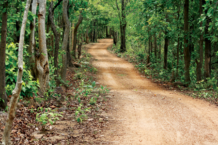 Pristine Debrigarh